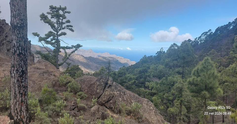 Gran Canaria vrienden